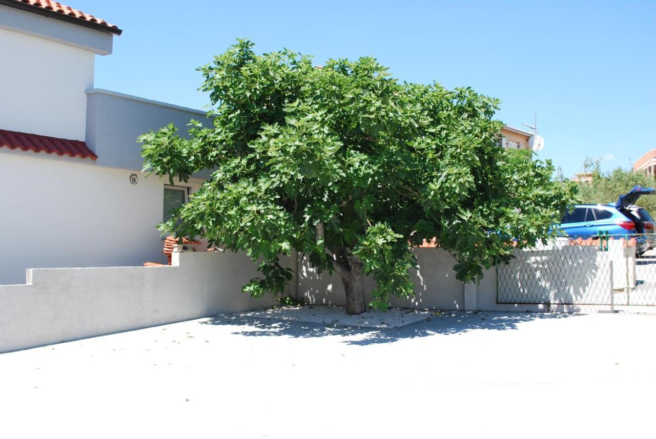 Villa Sabina - Apartments Kroatien Ražanac Exteriér fotografie